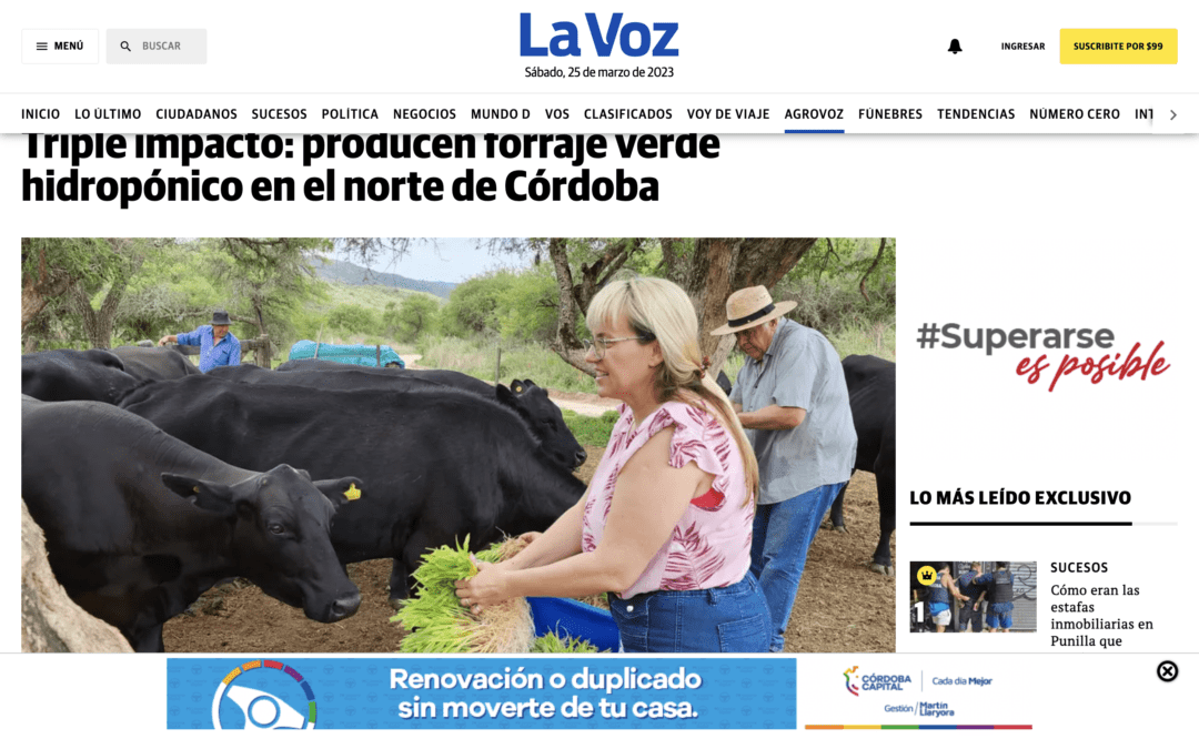 Triple impacto: producen forraje verde hidropónico en el norte de Córdoba - La Voz del Interior