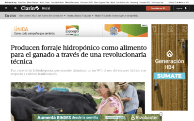 Producen forraje hidropónico como alimento para el ganado a través de una revolucionaria técnica – Clarín