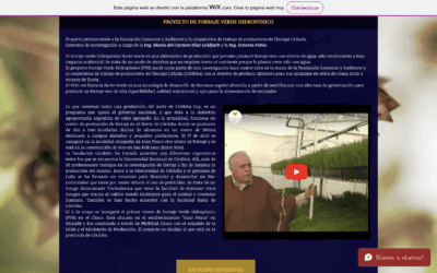 Proyecto de forraje verde hidropónico