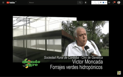 VICTOR MONCADA FORRAJES VERDES HIDROPONICOS