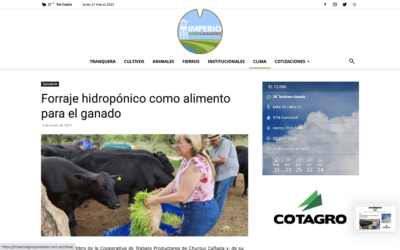 Forraje hidropónico como alimento para el ganado