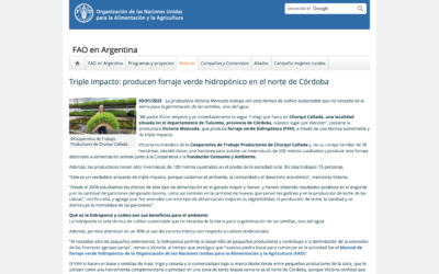 Triple impacto: producen forraje verde hidropónico en el norte de Córdoba