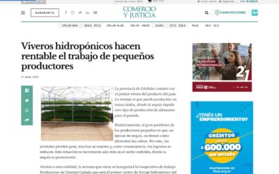 Viveros hidropónicos hacen rentable el trabajo de pequeños productores – Comercio y Justicia