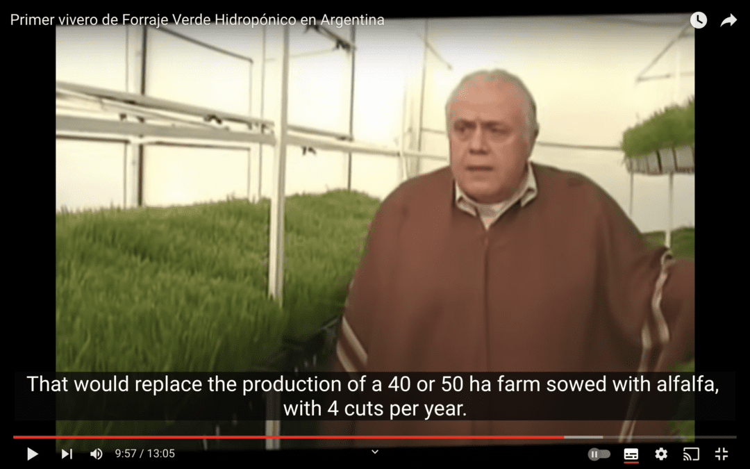 Primer vivero de Forraje Verde Hidropónico en Argentina