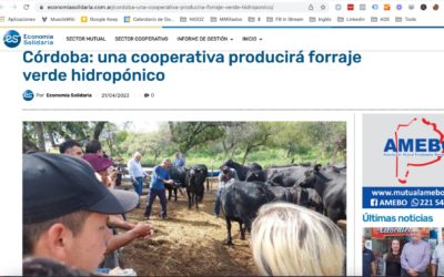 Córdoba: una cooperativa producirá forraje verde hidropónico